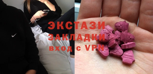 дживик Богородицк