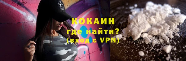 дживик Богородицк