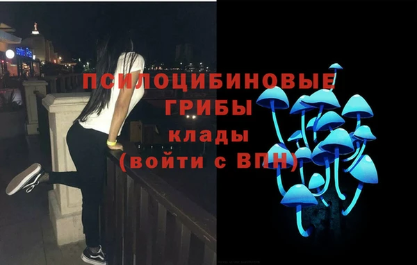герыч Богородск