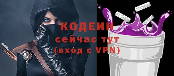 дживик Богородицк