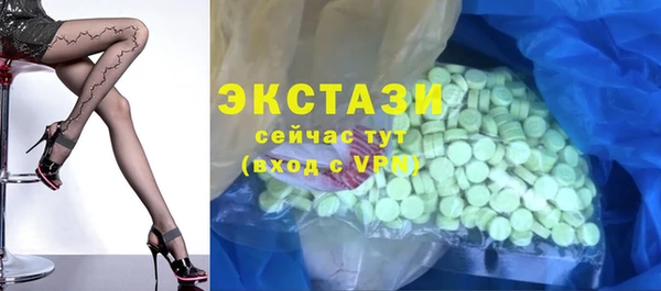 дживик Богородицк