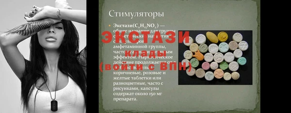 дживик Богородицк