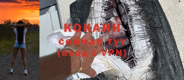 дживик Богородицк
