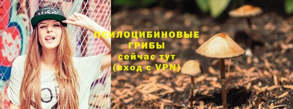 дживик Богородицк