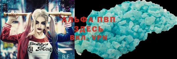 прущие грибы Беломорск