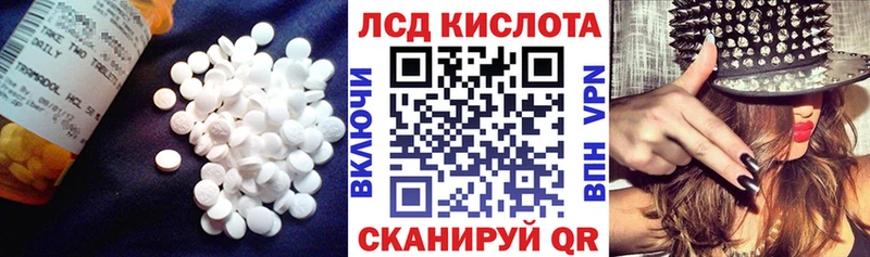 Купить закладки  Весьегонск  LSD-25 экстази ecstasy 