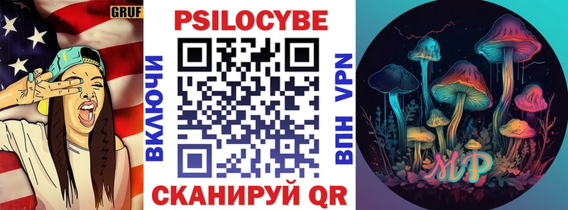 Купить закладки  Весьегонск  Псилоцибиновые грибы Magic Shrooms 