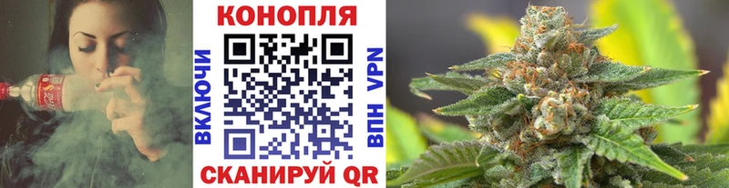 Бошки Шишки SATIVA & INDICA  Купить закладки  Весьегонск 